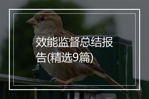 效能监督总结报告(精选9篇)