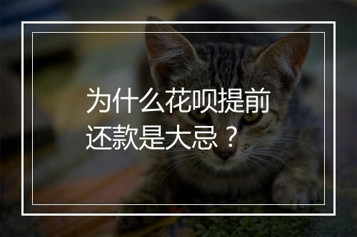 为什么花呗提前还款是大忌？