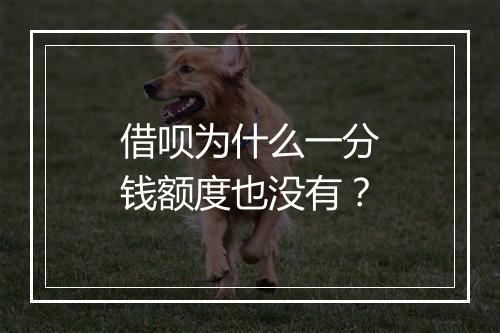 借呗为什么一分钱额度也没有？