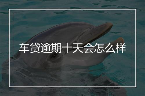 车贷逾期十天会怎么样