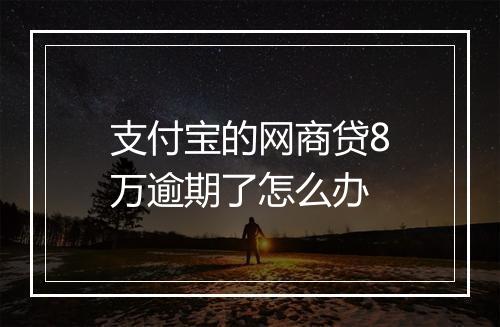支付宝的网商贷8万逾期了怎么办