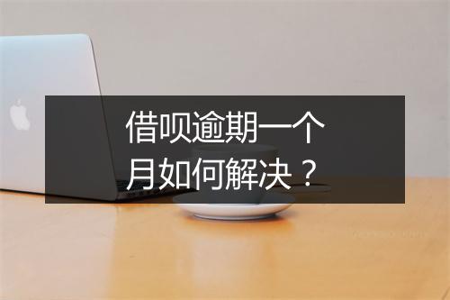 借呗逾期一个月如何解决？