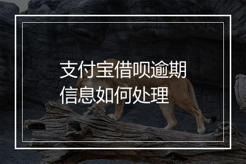 支付宝借呗逾期信息如何处理