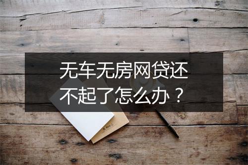 无车无房网贷还不起了怎么办？