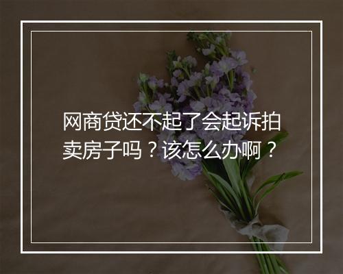 网商贷还不起了会起诉拍卖房子吗？该怎么办啊？
