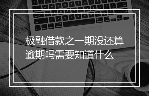 极融借款之一期没还算逾期吗需要知道什么