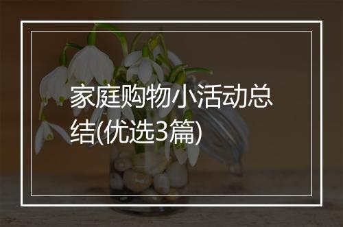 家庭购物小活动总结(优选3篇)