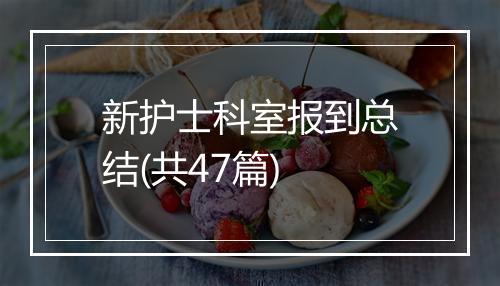 新护士科室报到总结(共47篇)