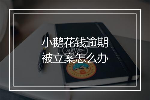 小鹅花钱逾期被立案怎么办