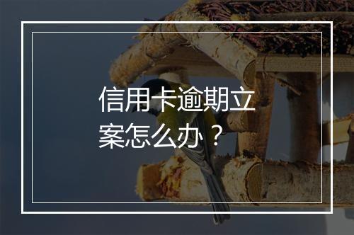 信用卡逾期立案怎么办？