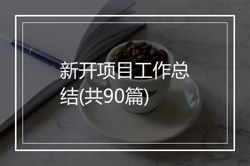 新开项目工作总结(共90篇)