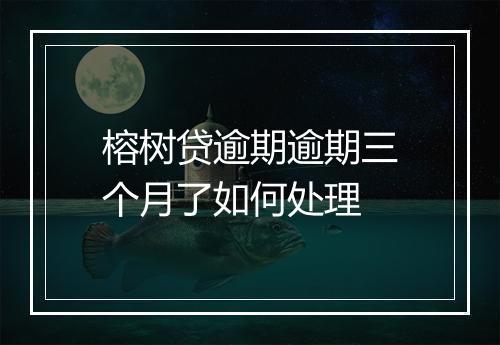 榕树贷逾期逾期三个月了如何处理