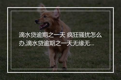 滴水贷逾期之一天 疯狂骚扰怎么办,滴水贷逾期之一天无缘无故被打