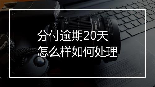 分付逾期20天怎么样如何处理