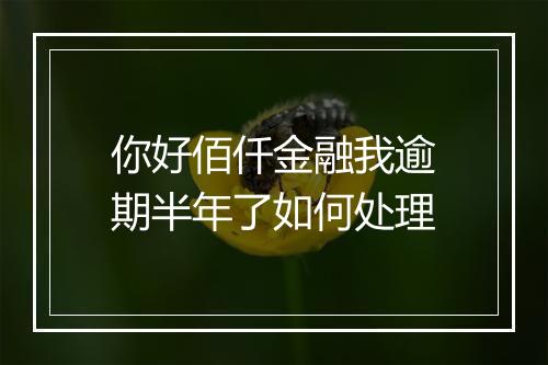 你好佰仟金融我逾期半年了如何处理