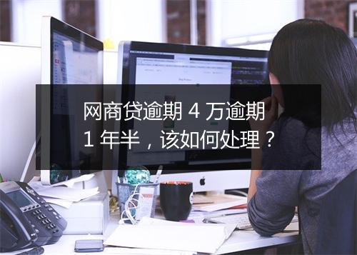网商贷逾期 4 万逾期 1 年半，该如何处理？