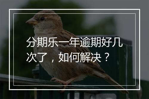 分期乐一年逾期好几次了，如何解决？