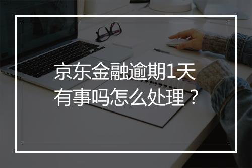京东金融逾期1天有事吗怎么处理？