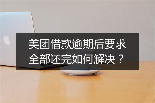 美团借款逾期后要求全部还完如何解决？