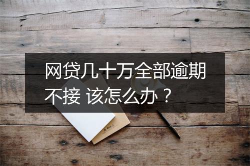 网贷几十万全部逾期不接 该怎么办？