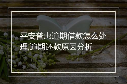 平安普惠逾期借款怎么处理,逾期还款原因分析