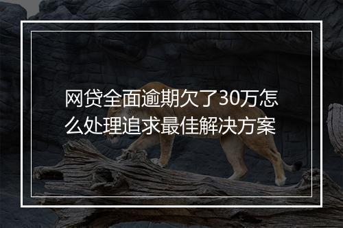 网贷全面逾期欠了30万怎么处理追求最佳解决方案