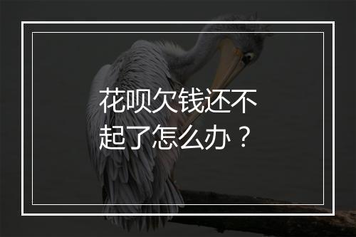 花呗欠钱还不起了怎么办？