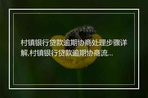 村镇银行贷款逾期协商处理步骤详解,村镇银行贷款逾期协商流程指南