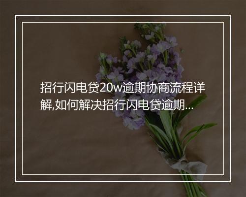 招行闪电贷20w逾期协商流程详解,如何解决招行闪电贷逾期问题