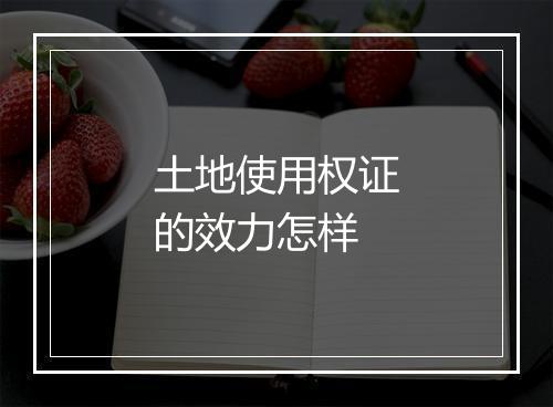 土地使用权证的效力怎样