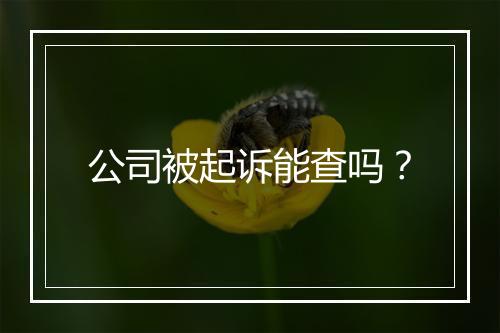 公司被起诉能查吗？