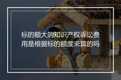 标的额大的知识产权诉讼费用是根据标的额度来算的吗