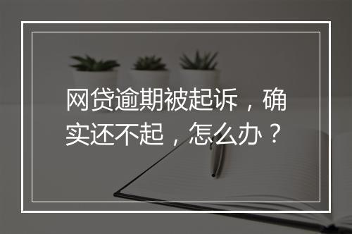 网贷逾期被起诉，确实还不起，怎么办？