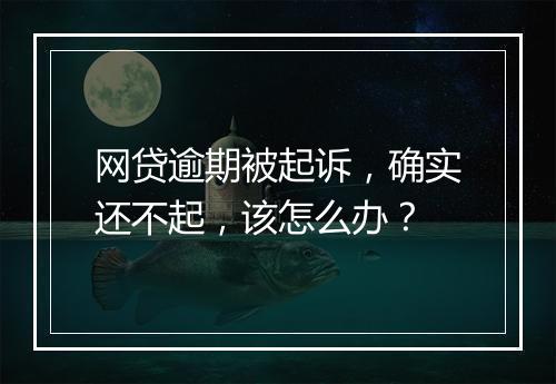 网贷逾期被起诉，确实还不起，该怎么办？