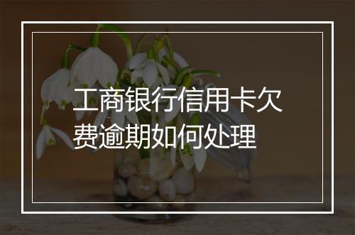 工商银行信用卡欠费逾期如何处理