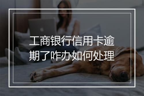 工商银行信用卡逾期了咋办如何处理