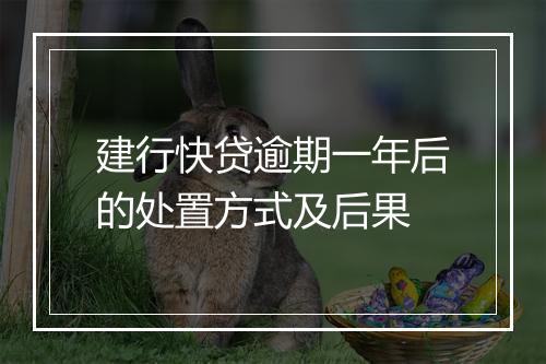 建行快贷逾期一年后的处置方式及后果