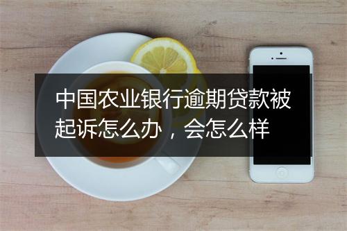 中国农业银行逾期贷款被起诉怎么办，会怎么样