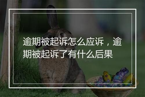 逾期被起诉怎么应诉，逾期被起诉了有什么后果