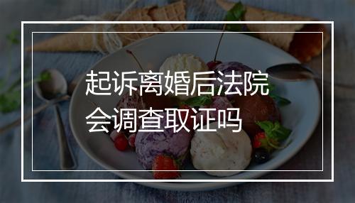 起诉离婚后法院会调查取证吗