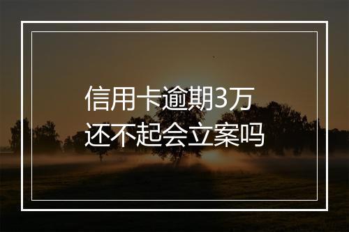 信用卡逾期3万还不起会立案吗