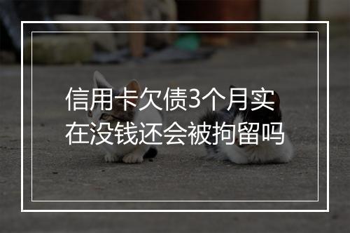 信用卡欠债3个月实在没钱还会被拘留吗