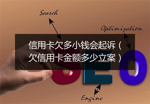 信用卡欠多小钱会起诉（欠信用卡金额多少立案）