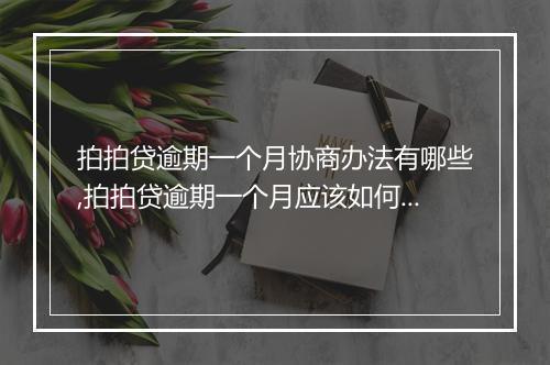 拍拍贷逾期一个月协商办法有哪些,拍拍贷逾期一个月应该如何处理