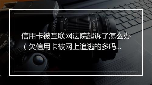 信用卡被互联网法院起诉了怎么办（欠信用卡被网上追逃的多吗）
