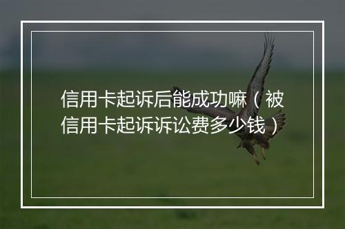 信用卡起诉后能成功嘛（被信用卡起诉诉讼费多少钱）