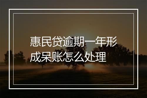 惠民贷逾期一年形成呆账怎么处理