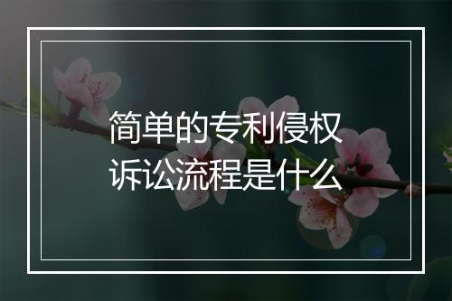 简单的专利侵权诉讼流程是什么