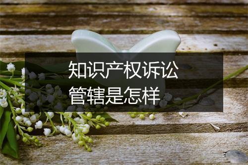 知识产权诉讼管辖是怎样