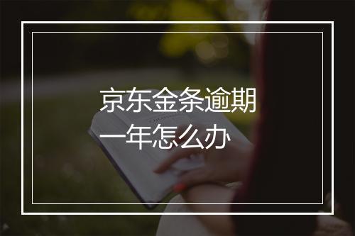 京东金条逾期一年怎么办